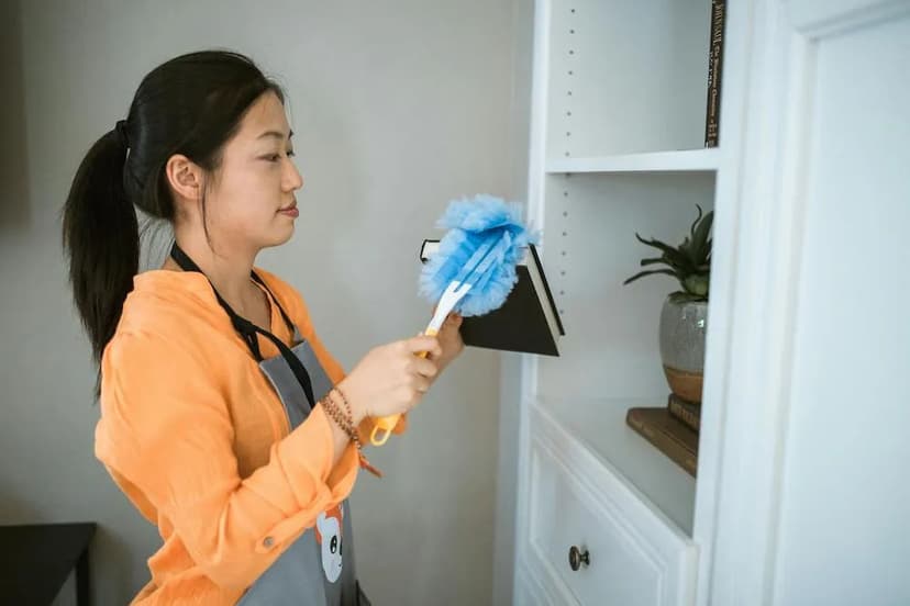 Skilled and Trustworthy Cleaners's image